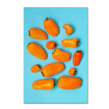 Sarah Saratonina 'Orange And Blue' Canvas Art,30x47